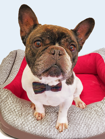 This is Frank